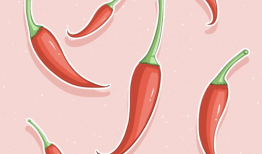 辣椒漫画,辣味人生，笑中带泪的幽默画卷